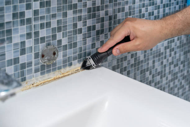 Best Local Mold Removal Service  in Margate, FL