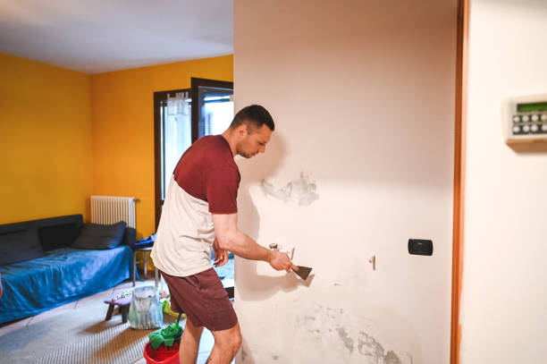 Best Mold Remediation  in Margate, FL